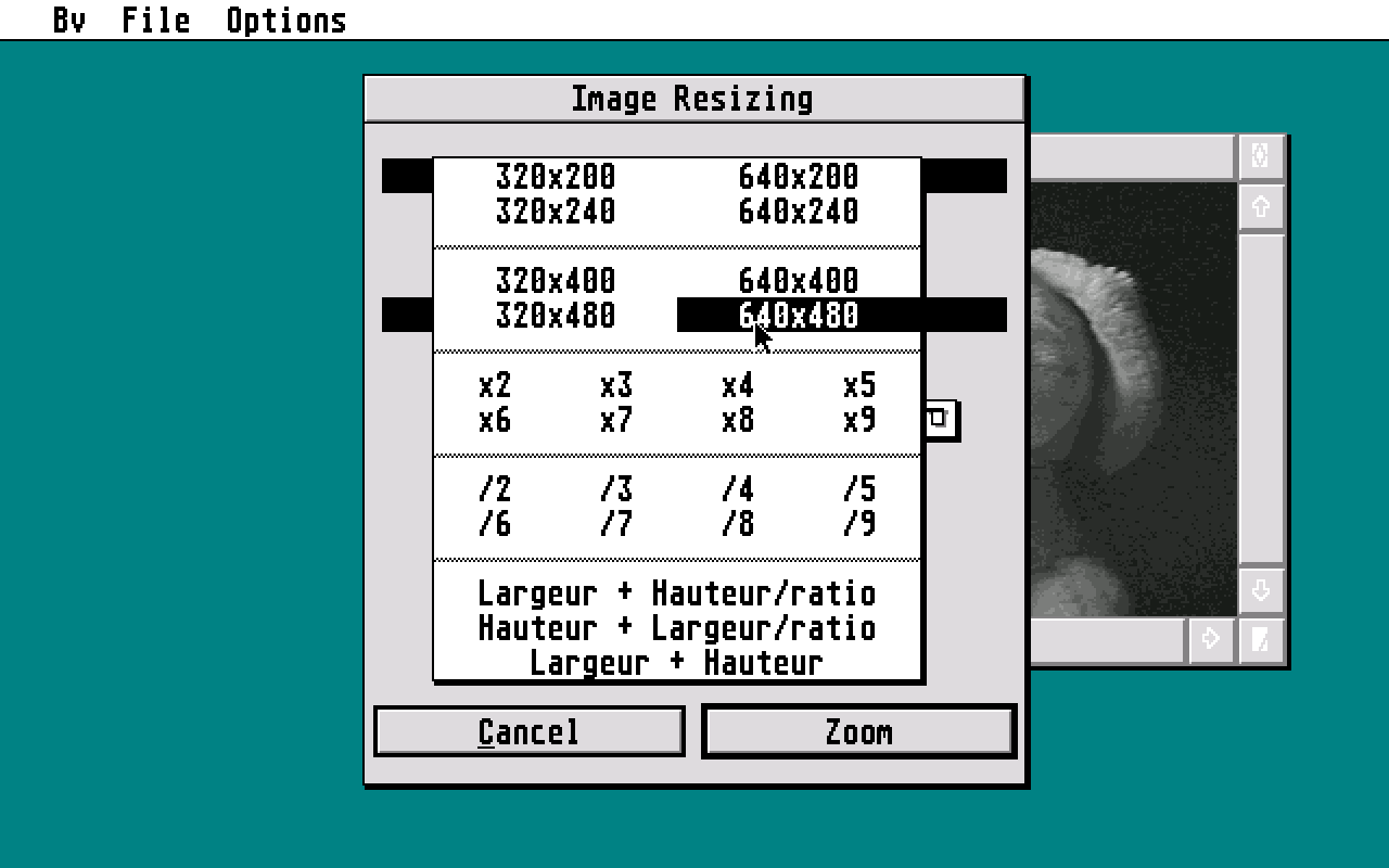 Bitmap View atari screenshot
